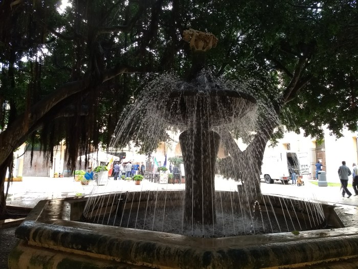 IMG_20181004_100336957